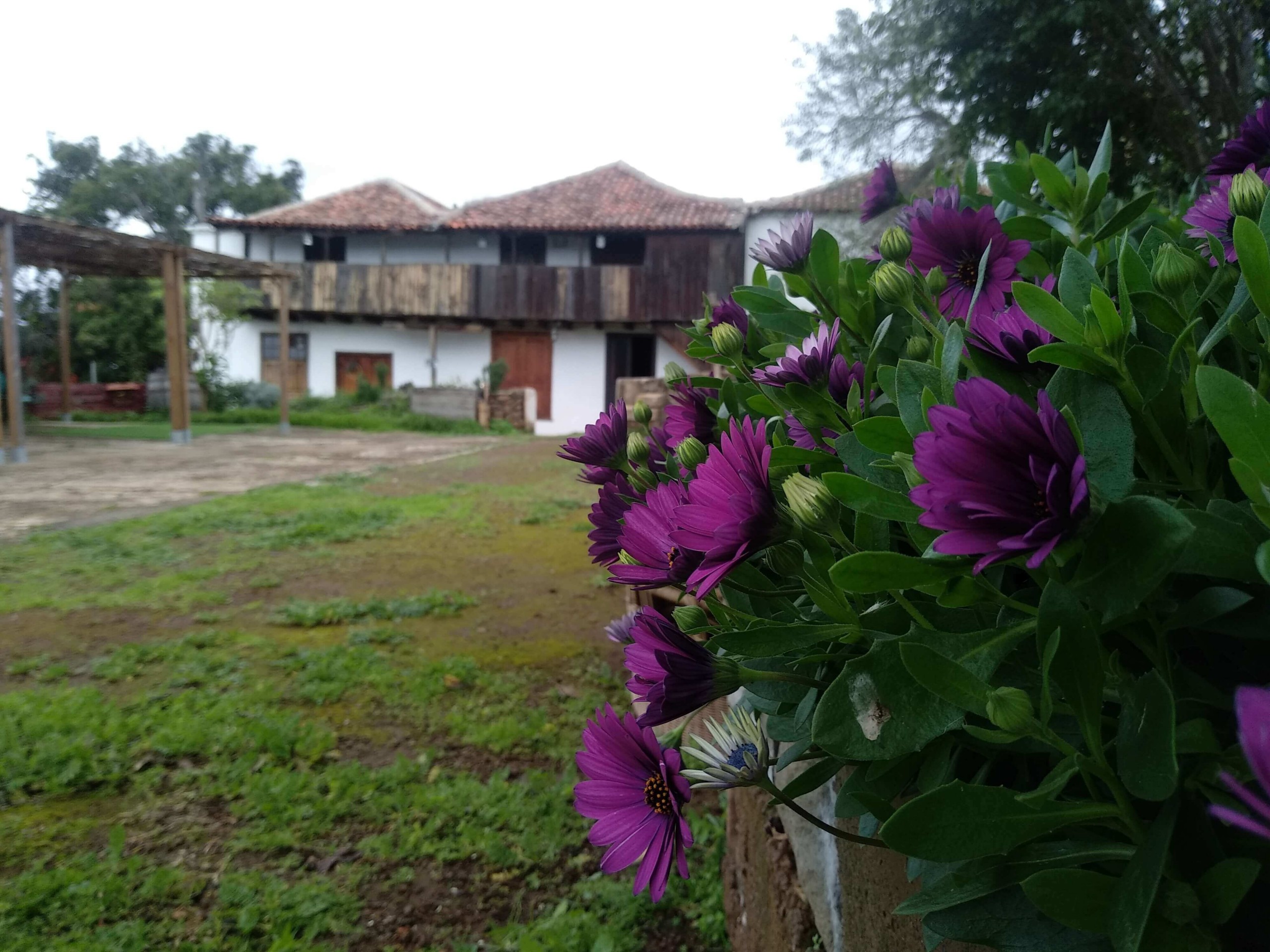 alquiler el sitio, patio frente a la casa